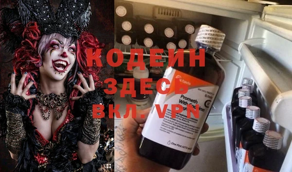 молекула духа Бронницы