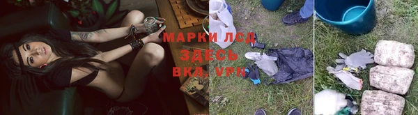 стаф Бугульма