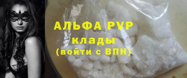 стаф Бугульма
