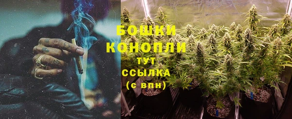 молекула духа Бронницы