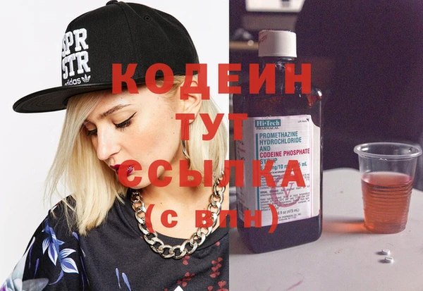 молекула духа Бронницы