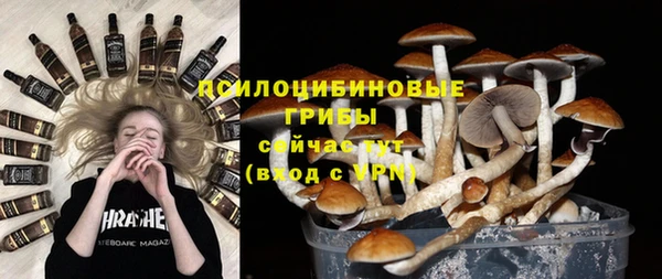 MESCALINE Бородино