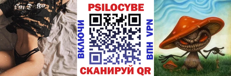 omg   Ярцево  Псилоцибиновые грибы GOLDEN TEACHER  где купить  